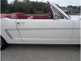 1965 Ford Mustang (CC-2119010) for sale in Palmetto, Florida