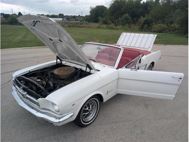 1965 Ford Mustang (CC-2119010) for sale in Palmetto, Florida