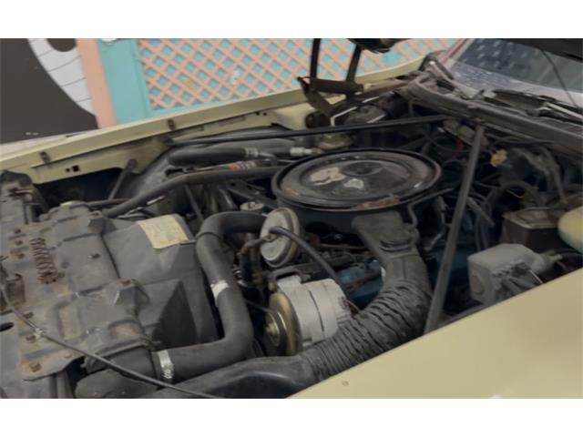 1975 Oldsmobile 88 (CC-2119027) for sale in Annandale, Minnesota