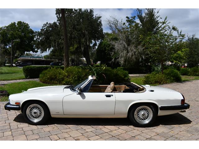 1988 Jaguar XJS (CC-2119076) for sale in Punta Gorda, Florida