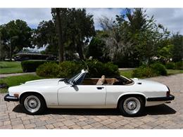 1988 Jaguar XJS (CC-2119076) for sale in Punta Gorda, Florida