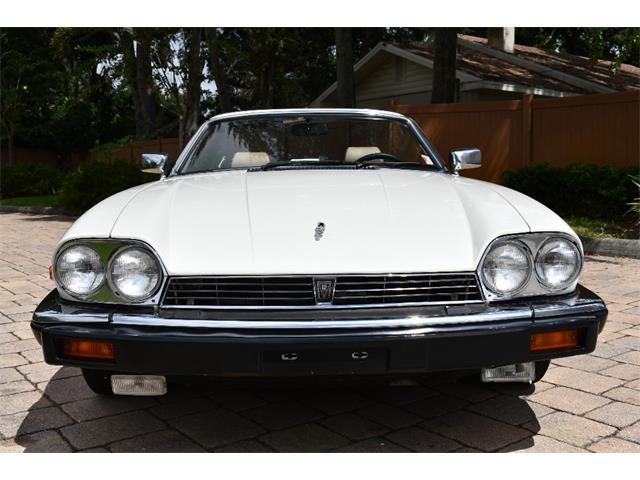 1988 Jaguar XJS (CC-2119076) for sale in Punta Gorda, Florida