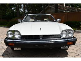 1988 Jaguar XJS (CC-2119076) for sale in Punta Gorda, Florida