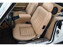 1988 Jaguar XJS (CC-2119076) for sale in Punta Gorda, Florida