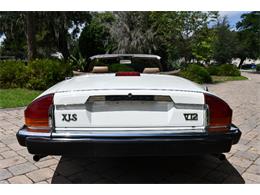 1988 Jaguar XJS (CC-2119076) for sale in Punta Gorda, Florida