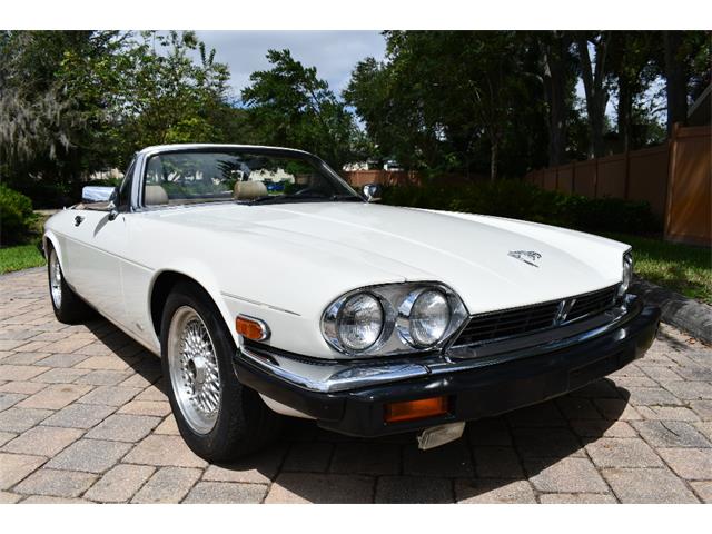 1988 Jaguar XJS (CC-2119076) for sale in Punta Gorda, Florida