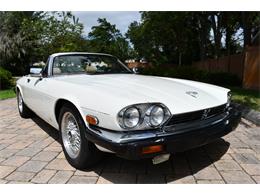 1988 Jaguar XJS (CC-2119076) for sale in Punta Gorda, Florida