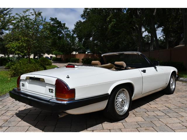 1988 Jaguar XJS (CC-2119076) for sale in Punta Gorda, Florida