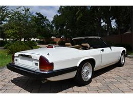 1988 Jaguar XJS (CC-2119076) for sale in Punta Gorda, Florida
