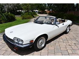 1988 Jaguar XJS (CC-2119076) for sale in Punta Gorda, Florida