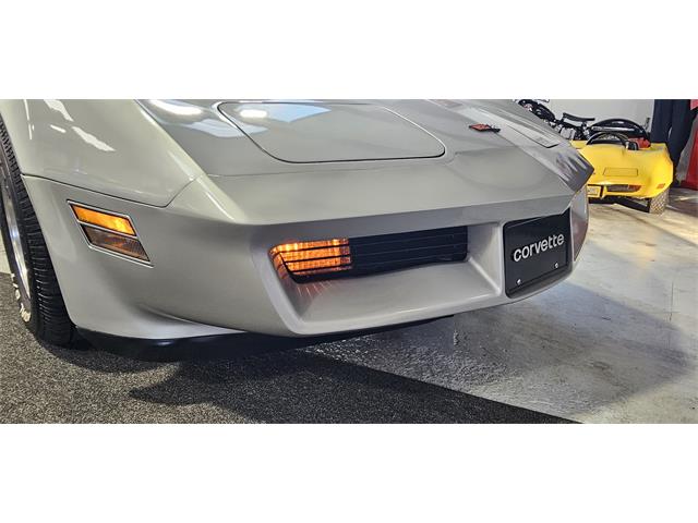 1982 Chevrolet Corvette (CC-2119089) for sale in Hudson, Florida