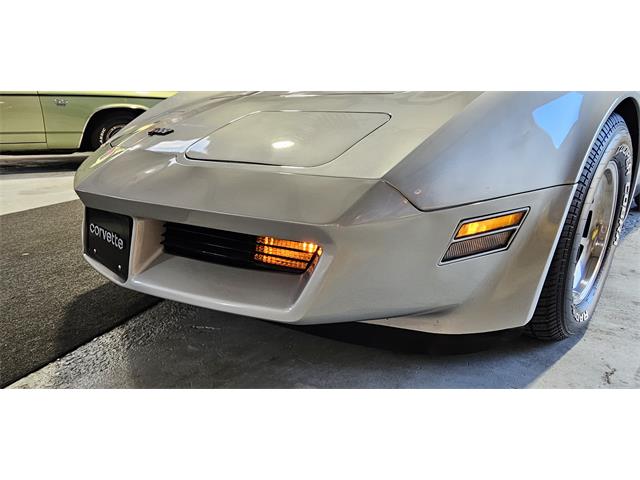 1982 Chevrolet Corvette (CC-2119089) for sale in Hudson, Florida