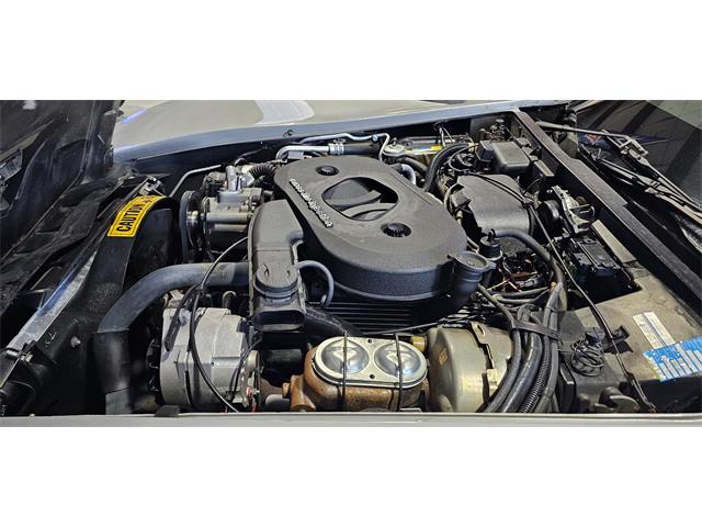 1982 Chevrolet Corvette (CC-2119089) for sale in Hudson, Florida