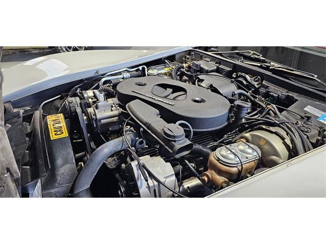 1982 Chevrolet Corvette (CC-2119089) for sale in Hudson, Florida
