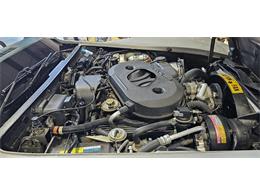 1982 Chevrolet Corvette (CC-2119089) for sale in Hudson, Florida