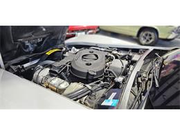 1982 Chevrolet Corvette (CC-2119089) for sale in Hudson, Florida