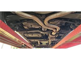 1982 Chevrolet Corvette (CC-2119089) for sale in Hudson, Florida