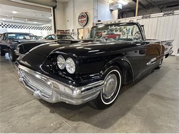 1959 Ford Thunderbird (CC-2119105) for sale in Ham Lake, Minnesota