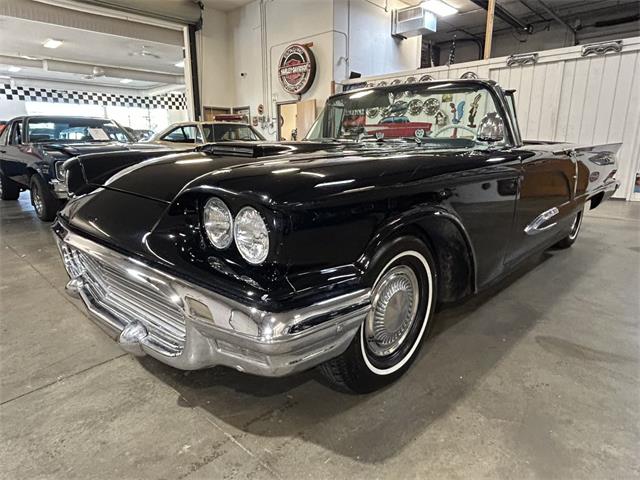 1959 Ford Thunderbird (CC-2119105) for sale in Ham Lake, Minnesota