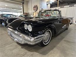 1959 Ford Thunderbird (CC-2119105) for sale in Ham Lake, Minnesota