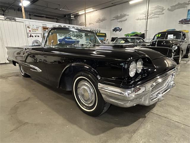 1959 Ford Thunderbird (CC-2119105) for sale in Ham Lake, Minnesota