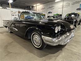 1959 Ford Thunderbird (CC-2119105) for sale in Ham Lake, Minnesota