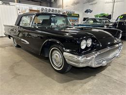 1959 Ford Thunderbird (CC-2119105) for sale in Ham Lake, Minnesota
