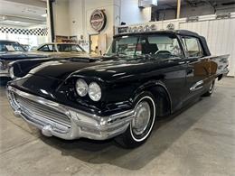 1959 Ford Thunderbird (CC-2119105) for sale in Ham Lake, Minnesota