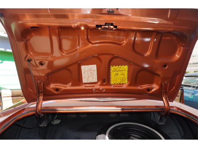 1975 Buick Regal (CC-2119119) for sale in Fort Myers, Florida