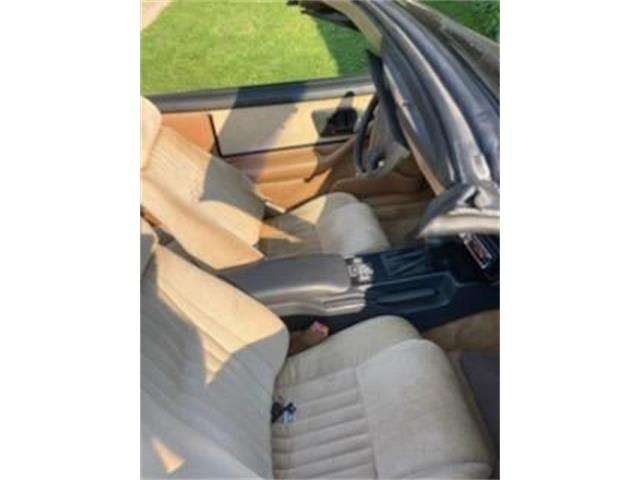 1991 Pontiac Firebird (CC-2110916) for sale in Cadillac, Michigan