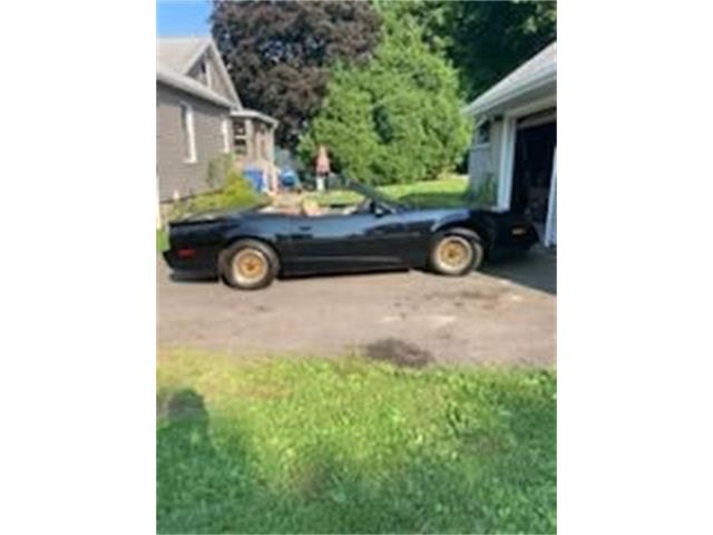 1991 Pontiac Firebird (CC-2110916) for sale in Cadillac, Michigan