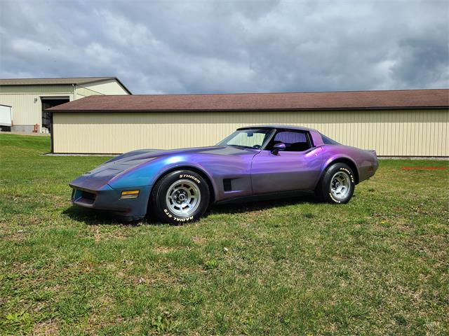 1981 Chevrolet Corvette (CC-2119177) for sale in MARTINSBURG, Pennsylvania