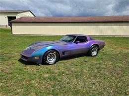 1981 Chevrolet Corvette (CC-2119177) for sale in MARTINSBURG, Pennsylvania