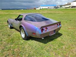 1981 Chevrolet Corvette (CC-2119177) for sale in MARTINSBURG, Pennsylvania