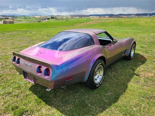 1981 Chevrolet Corvette (CC-2119177) for sale in MARTINSBURG, Pennsylvania