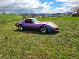 1981 Chevrolet Corvette (CC-2119177) for sale in MARTINSBURG, Pennsylvania