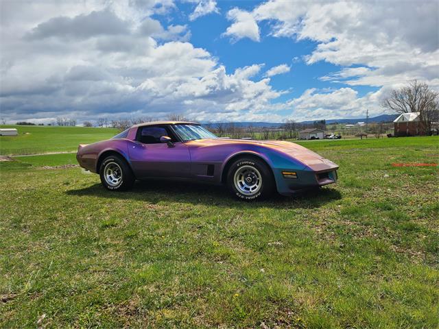 1981 Chevrolet Corvette (CC-2119177) for sale in MARTINSBURG, Pennsylvania