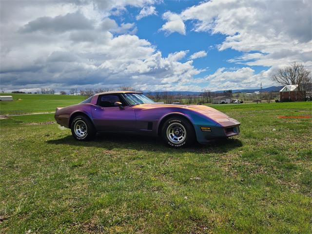 1981 Chevrolet Corvette (CC-2119177) for sale in MARTINSBURG, Pennsylvania