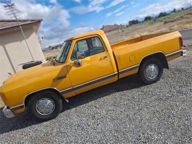 1988 Dodge Ram (CC-2119289) for sale in Cadillac, Michigan