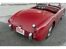 1961 Austin-Healey Sprite (CC-2119325) for sale in Fort Lauderdale, Florida