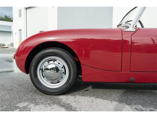 1961 Austin-Healey Sprite (CC-2119325) for sale in Fort Lauderdale, Florida
