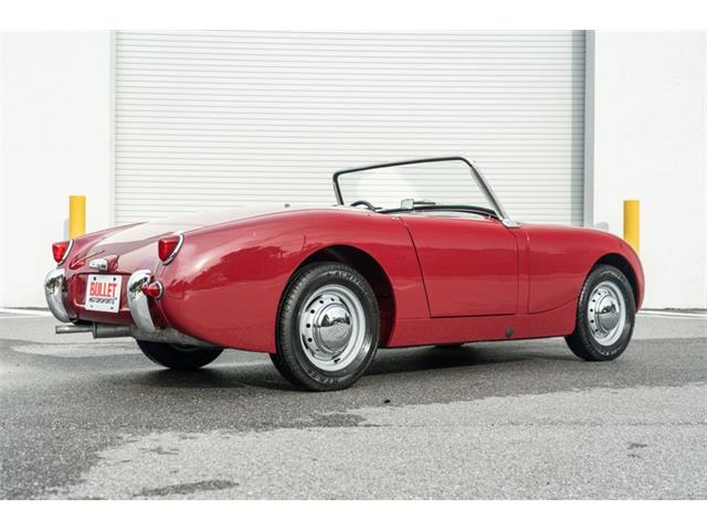 1961 Austin-Healey Sprite (CC-2119325) for sale in Fort Lauderdale, Florida