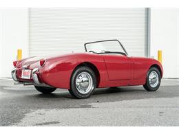 1961 Austin-Healey Sprite (CC-2119325) for sale in Fort Lauderdale, Florida