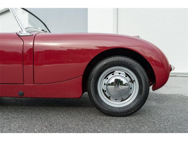 1961 Austin-Healey Sprite (CC-2119325) for sale in Fort Lauderdale, Florida