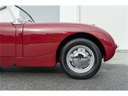 1961 Austin-Healey Sprite (CC-2119325) for sale in Fort Lauderdale, Florida