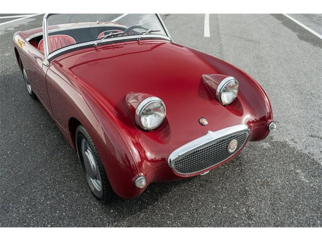 1961 Austin-Healey Sprite (CC-2119325) for sale in Fort Lauderdale, Florida