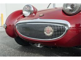 1961 Austin-Healey Sprite (CC-2119325) for sale in Fort Lauderdale, Florida