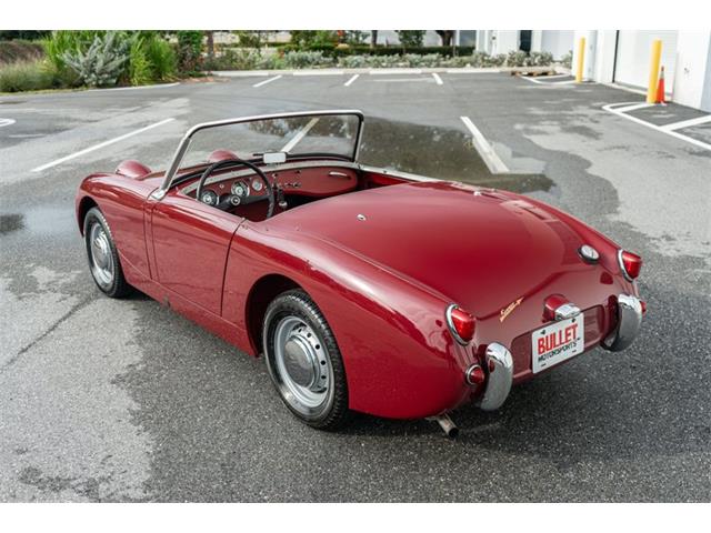 1961 Austin-Healey Sprite (CC-2119325) for sale in Fort Lauderdale, Florida