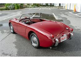 1961 Austin-Healey Sprite (CC-2119325) for sale in Fort Lauderdale, Florida