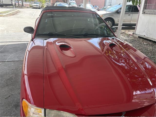 1997 Ford Mustang SVT Cobra (CC-2119336) for sale in Punta Gorda, Florida